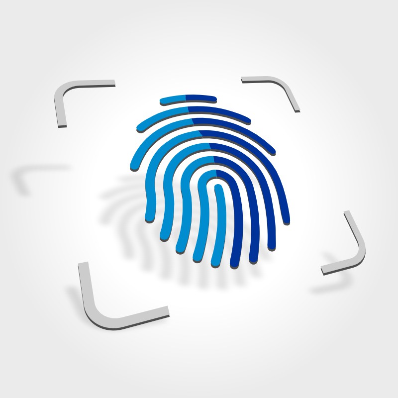 Identidad Corporativa