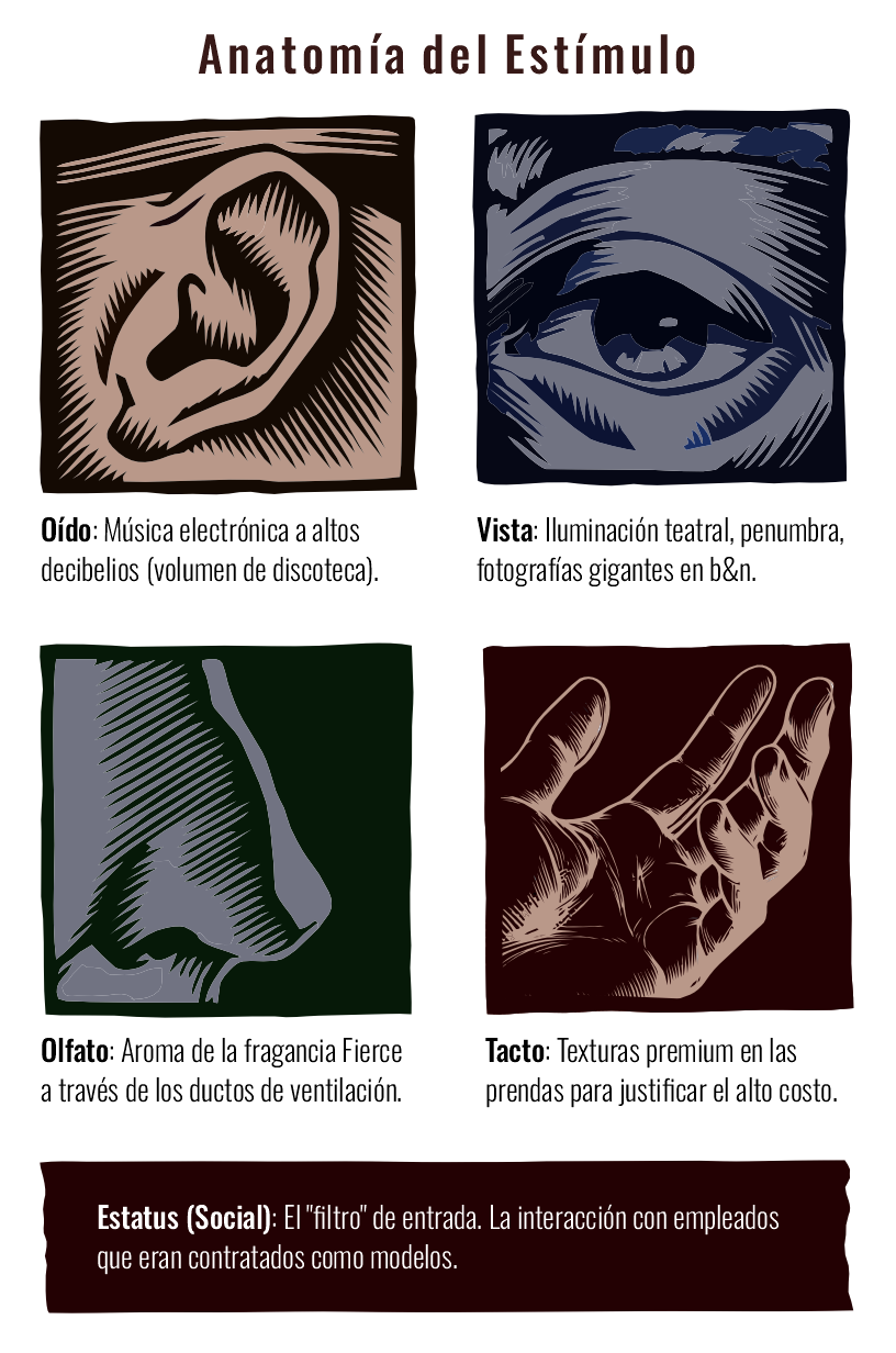 Anatomía del Estímulo